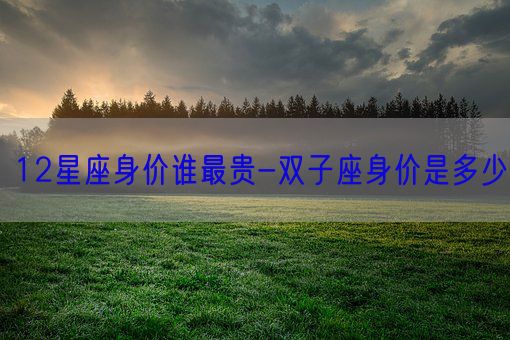 12星座身价谁最贵-双子座身价是多少(图1)