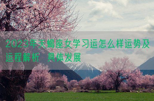 2023年天蝎座女学习运怎么样运势及运程解析  具体发展(图1)