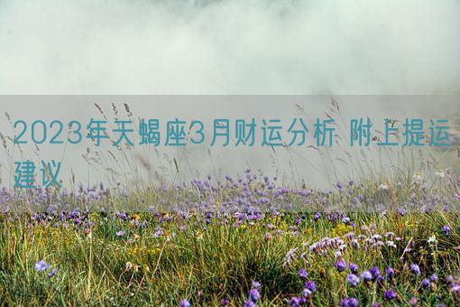 2023年天蝎座3月财运分析 附上提运建议    (图1)