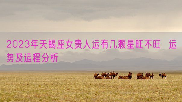 2023年天蝎座女贵人运有几颗星旺不旺  运势及运程分析(图1)