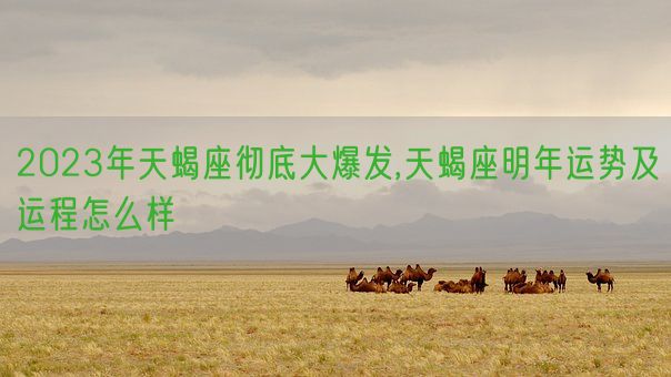 2023年天蝎座彻底大爆发,天蝎座明年运势及运程怎么样(图1)