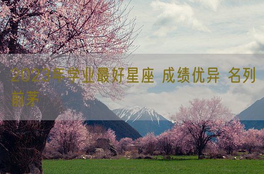 2023年学业最好星座 成绩优异 名列前茅(图1)