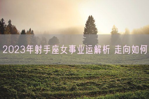 2023年射手座女事业运解析 走向如何(图1)