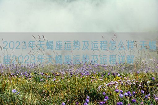 2023年天蝎座运势及运程怎么样 天蝎座2023年天蝎座运势及运程详解(图1)