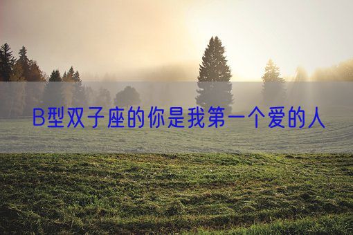 B型双子座的你是我第一个爱的人(图1) B型双子座的你是我第一个爱的人(图1)