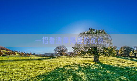 一招看透摩羯座的忧伤(图1)