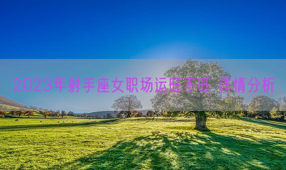 2023年射手座女职场运旺不旺 详情分析(图1)