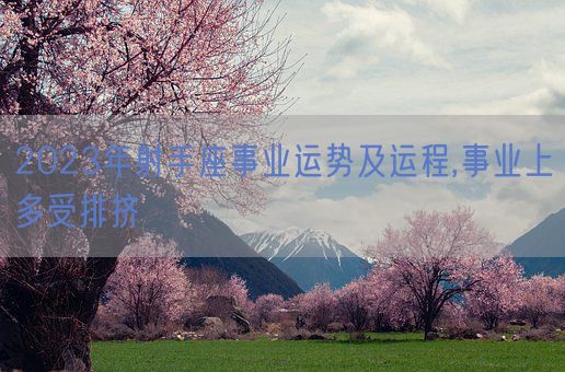 2023年射手座事业运势及运程,事业上多受排挤(图1)