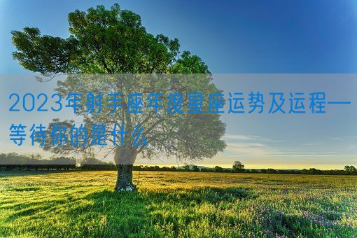 2023年射手座年度星座运势及运程—等待你的是什么(图1)