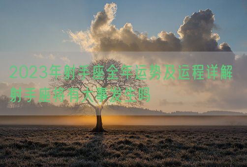 2023年射手座全年运势及运程详解 射手座将有大事发生吗(图1)