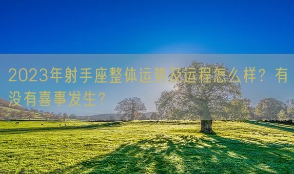 2023年射手座整体运势及运程怎么样？有没有喜事发生？(图1)
