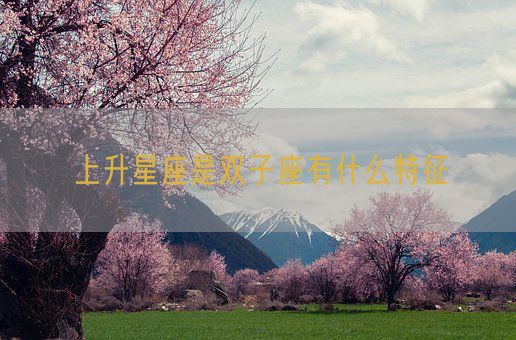 上升星座是双子座有什么特征(图1) 上升星座是双子座有什么特征(图1)