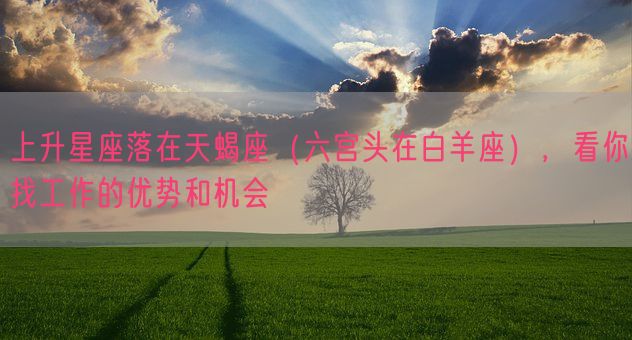 上升星座落在天蝎座（六宫头在白羊座），看你找工作的优势和机会(图1)