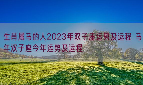 生肖属马的人2023年双子座运势及运程 马年双子座今年运势及运程(图1)