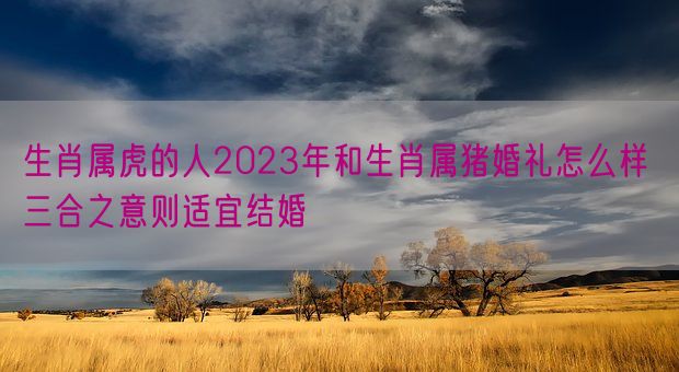生肖属虎的人2023年和生肖属猪婚礼怎么样 三合之意则适宜结婚(图1)