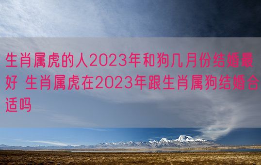 生肖属虎的人2023年和狗几月份结婚最好 生肖属虎在2023年跟生肖属狗结婚合适吗(图1)