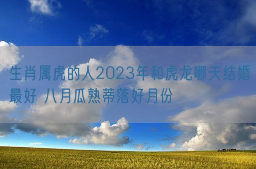 生肖属虎的人2023年和虎龙哪天结婚最好 八月瓜熟蒂落好月份(图1)