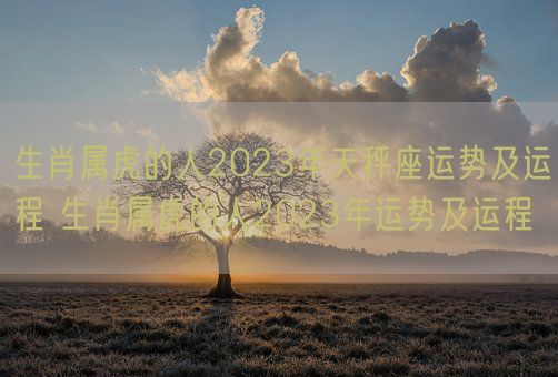 生肖属虎的人2023年天秤座运势及运程 生肖属虎的人2023年运势及运程(图1)