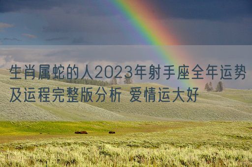 生肖属蛇的人2023年射手座全年运势及运程完整版分析 爱情运大好(图1)