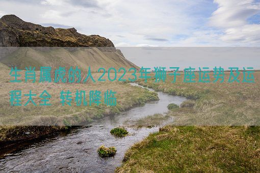 生肖属虎的人2023年狮子座运势及运程大全 转机降临(图1)