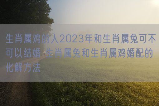 生肖属鸡的人2023年和生肖属兔可不可以结婚 生肖属兔和生肖属鸡婚配的化解方法(图1)