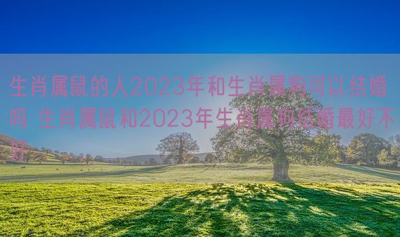 生肖属鼠的人2023年和生肖属狗可以结婚吗 生肖属鼠和2023年生肖属狗结婚最好不好(图1)