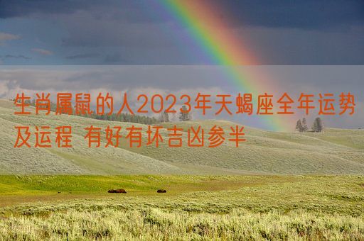 生肖属鼠的人2023年天蝎座全年运势及运程 有好有坏吉凶参半(图1)