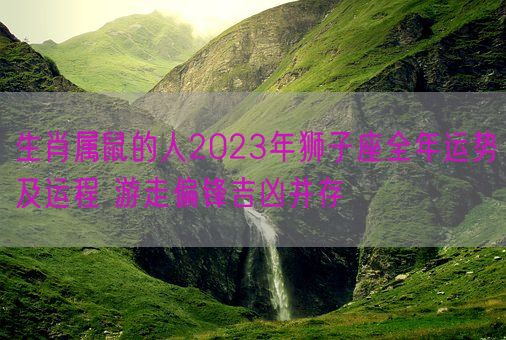 生肖属鼠的人2023年狮子座全年运势及运程 游走偏锋吉凶并存(图1)