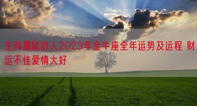 生肖属鼠的人2023年金牛座全年运势及运程 财运不佳爱情大好(图1)