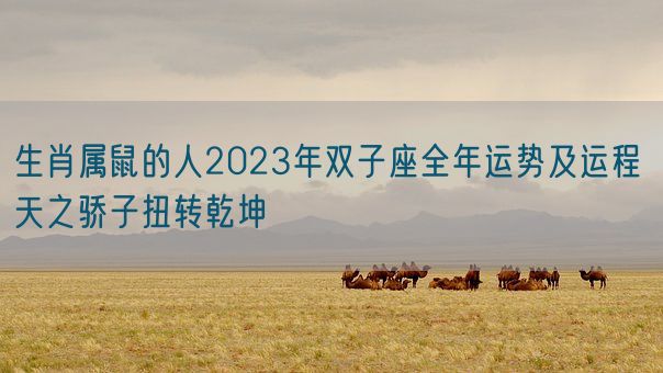 生肖属鼠的人2023年双子座全年运势及运程 天之骄子扭转乾坤(图1)
