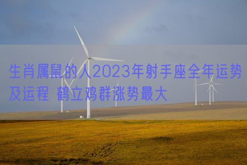 生肖属鼠的人2023年射手座全年运势及运程 鹤立鸡群涨势最大(图1)