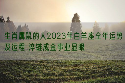 生肖属鼠的人2023年白羊座全年运势及运程 淬链成金事业显眼(图1)