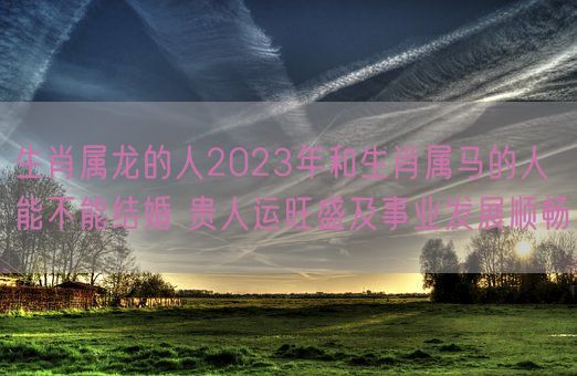 生肖属龙的人2023年和生肖属马的人能不能结婚 贵人运旺盛及事业发展顺畅(图1)