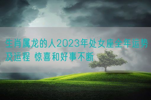 生肖属龙的人2023年处女座全年运势及运程 惊喜和好事不断(图1) 生肖属龙的人2023年处女座全年运势及运程 惊喜和好事不断(图1)