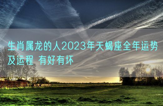 生肖属龙的人2023年天蝎座全年运势及运程 有好有坏(图1)