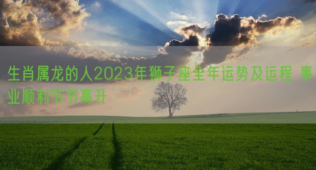 生肖属龙的人2023年狮子座全年运势及运程 事业顺利节节高升(图1)