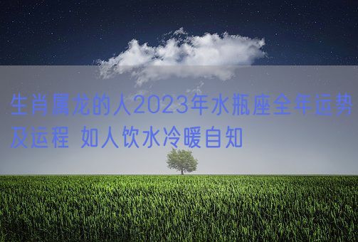 生肖属龙的人2023年水瓶座全年运势及运程 如人饮水冷暖自知(图1)