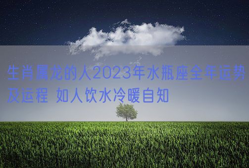 生肖属龙的人2023年水瓶座全年运势及运程 如人饮水冷暖自知(图1)