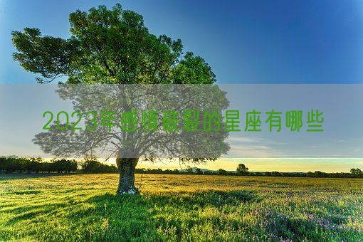 2023年感情破裂的星座有哪些(图1)