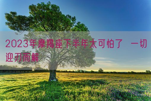 2023年摩羯座下半年太可怕了  一切迎刃而解(图1)