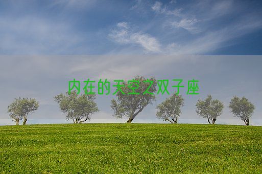 内在的天空之双子座(图1)