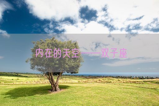 内在的天空——双子座(图1) 内在的天空——双子座(图1)