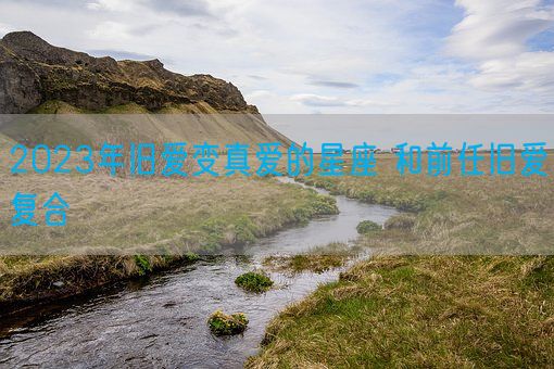 2023年旧爱变真爱的星座 和前任旧爱复合(图1)
