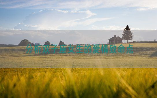 分析双子座女生的爱情致命点(图1)