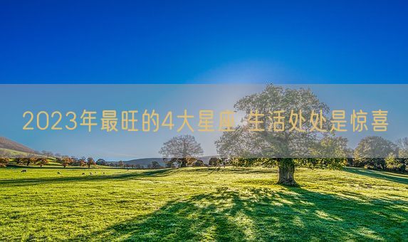 2023年最旺的4大星座 生活处处是惊喜(图1)