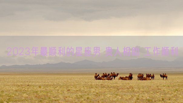 2023年最顺利的星座男 贵人相助 工作顺利(图1)