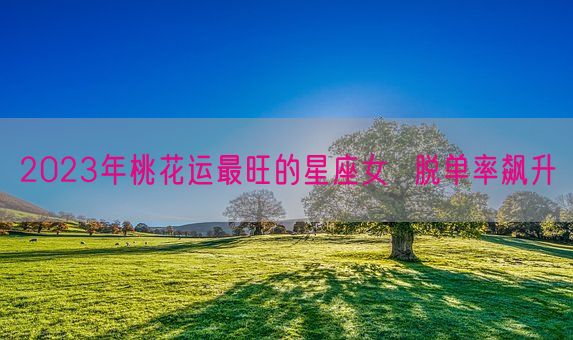 2023年桃花运最旺的星座女  脱单率飙升(图1)