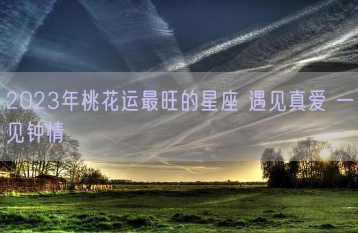 2023年桃花运最旺的星座 遇见真爱 一见钟情(图1)