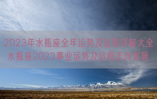 2023年水瓶座全年运势及运程详解大全 水瓶座2023事业运势及运程走向发展(图1)