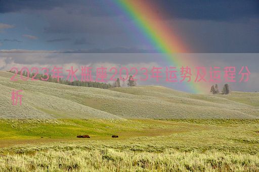 2023年水瓶座2023年运势及运程分析(图1)